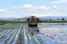 数量限定特別価格！農家直送　令和3年産　北海道　安田農場産　一等米 ななつぼし 25kg精米_画像3