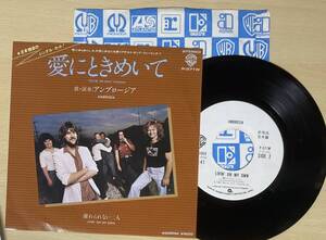 アンブロージア 愛にときめいて EP 国内盤 見本盤