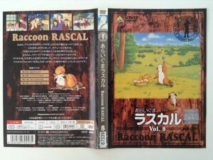 B01341　R中古DVD　世界名作劇場　あらいぐまラスカル　Vol.8　ケースなし(ゆうメール送料10枚まで180円）