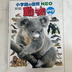 小学館 動物図鑑