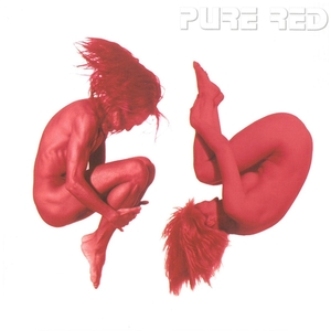 藤井フミヤ / PURE RED ディスクに傷有り CD