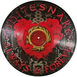 【新品/新宿ALTA】Whitesnake/Always & Forever (ピクチャーディスク仕様/12インチシングルレコード)(FRPD1020)