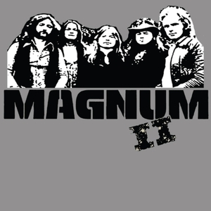 【新品/新宿ALTA】Magnum/II(180グラム重量盤レコード)(885)