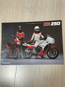 Kawasaki KR250 カタログ