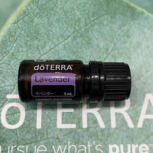 ドテラ doTERRA ラベンダー 5ml エッセンシャルオイル