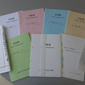 ★新品 送料無料 即決 入手困難 EM法 研修テキスト 全スキル 講師&コーチ&リーダー&経営コンサルタント&経営企画担当者など向け 戦略思考