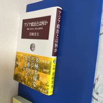 アジア政治とは何か - 開発・民主化・民主主義再考 (中公叢書)2009/12/11 岩崎 育夫 (著)_画像7