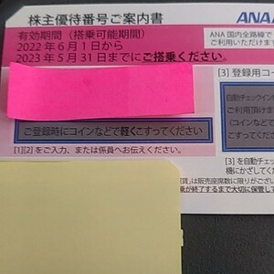 ANA株主優待券　１枚　（有効期限　2023年5月31日）