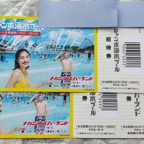 ナガシマスパーランド ジャンボ海水プール 招待券 2枚セット