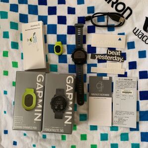 GARMIN 245