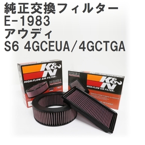 【GruppeM】 K&N 純正交換フィルター 4G0133843 アウディ S6 4GCEUA/4GCTGA 12-19 [E-1983]