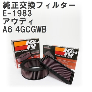 【GruppeM】 K&N 純正交換フィルター 4G0133843 アウディ A6 4GCGWB 11-15 [E-1983]