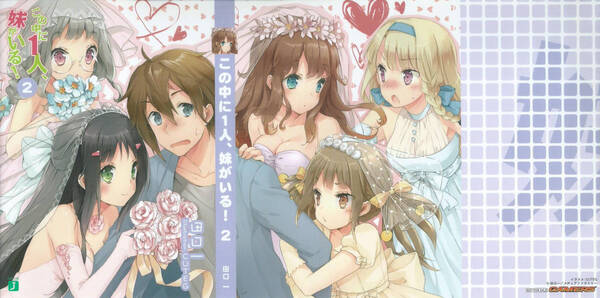 ◆ この中に1人、妹がいる 2巻 ゲーマーズ 特典 カバー CUTEG ◆