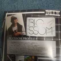 BLOSSOM PRAIVATE SIGN 2サウンド　オールダブMIX　レゲエ　REGGAE　ジャパレゲ_画像2