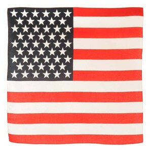 ROTHCO バンダナ アメリカ 星条旗 [ レッド&ホワイト / Sサイズ ] ロスコ Rothco ミリタリーバンダナ