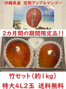 沖縄県産！完熟アップルマンゴー竹セット！マンゴーの王様をご堪能ください！