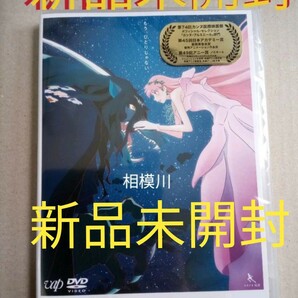 竜とそばかすの姫 DVD スタンダード エディション 新品未開封