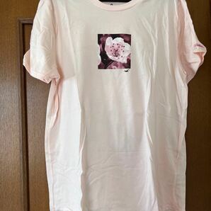 ホリスター　Tシャツ　半袖