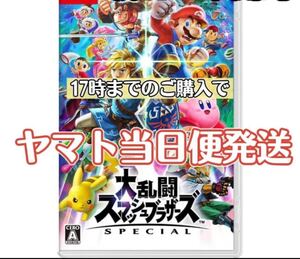 大乱闘スマッシュブラザーズsp switchソフト 迅速発送 スイッチソフト
