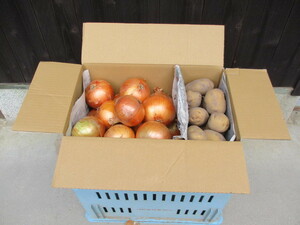 淡路島農家のおすそ分け 　　（玉葱：ターザン：7kg　じゃが芋：きたあかり：3kg） １０kg 詰め合わせ　