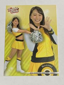 Nozomi 2016 BBM チアリーダー 華 #79 阪神 Tigers Girls 即決