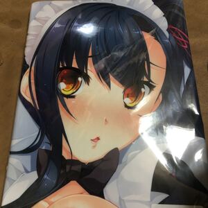 新品未開封 正規品 真・恋姫†夢想 ラヴァーズメイド 愛紗 抱き枕カバー BaseSon お風呂ポスター付き