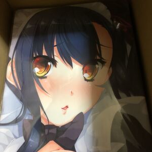 新品正規品 真・恋姫†夢想 ラヴァーズメイド 愛紗 抱き枕カバー BaseSon お風呂ポスター付き