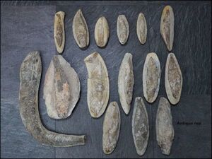 魚化石 標本 まとめて 15点 古代魚 標本 詳細不明 鉱物 原石 鑑賞石 325