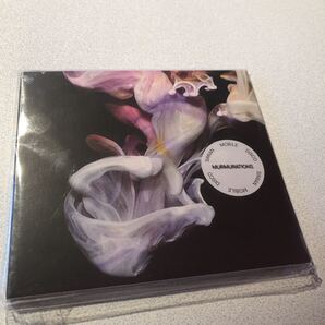 Simian Mobile Disco/Murmurations