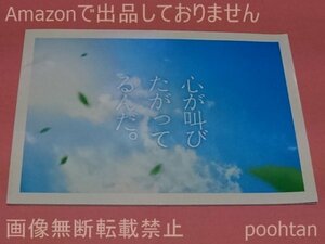 Sexy Zone 中島健人 映画 心が叫びたがってるんだ。 パンフレット