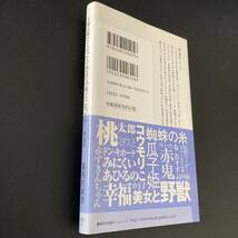 王様は裸だと言った子供はその後どうなったか (集英社新書) / 森 達也 (著)_画像3