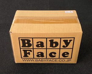 BabyFace S1000RR (17-18) パフォーマンスステップキット ,ベビーフェイス バックステップ Baby Face 002-BM010