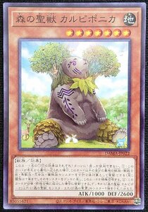【遊戯王】森の聖獣 カルピポニカ(ノーマル)DAMA-JP022