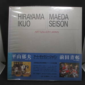 送料無料　平山郁夫・前田青邨　アート・ギャラリー・ジャパン　20世紀日本の美術⑤　集英社　A5.220829