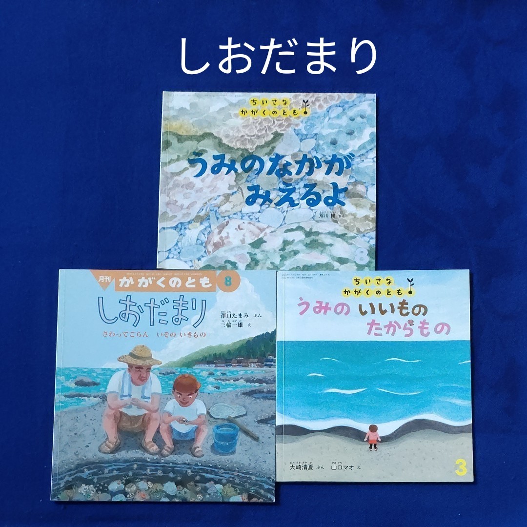 大人気定番商品 絵本 ちいさなかがくのとも かたちの絵本セット さんかくさんかく まるを 福音館 Drxsport Hu