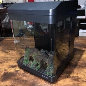 ニッソー 水槽 ルームメイト901の値段と価格推移は 3件の売買情報を集計したニッソー 水槽 ルームメイト901の価格や価値の推移データを公開 ニッソー 水槽 ルームメイト901の値段と価格推移は 3件の売買情報を集計したニッソー 水槽 ルームメイト901の価格や価値の推移データを公開