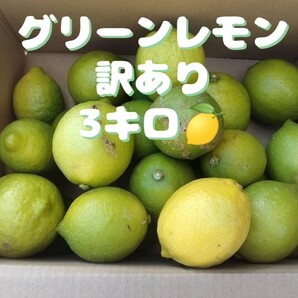 訳あり グリーンレモン 約3キロ