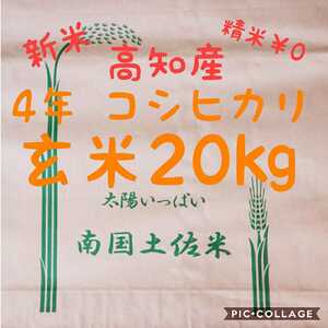 送料込み 令和4年産 高知県産 コシヒカリ玄米20㎏(袋込み)