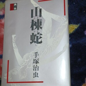 手塚治虫。山かかし異色短編集。