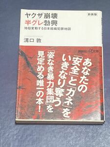 ヤクザ崩壊　半グレ勃興　溝口敦　新装版　帯付き