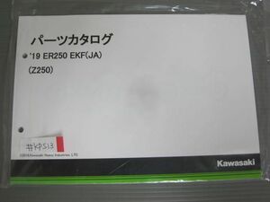 `19 ER250 EKF JA Z250 カワサキ パーツリスト パーツカタログ 新品 未使用 送料無料