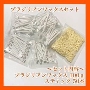 ブラジリアンワックス ノーズワックス wax 鼻毛 脱毛 100g 50 本