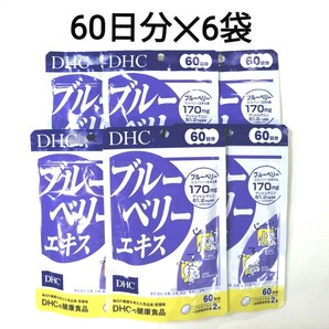【60日分×6袋】DHC ブルーベリーエキス 120粒