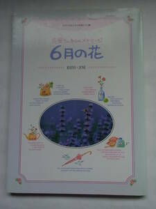 ★☆【千趣会】　花屋さんからのメッセージ ６月の花 みずぐるまとその仲間たち編☆★