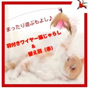 猫 大興奮 ★ 軽量 ワイヤー 猫じゃらし 本体＆交換用羽付き(赤)