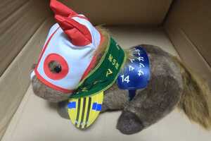 アバンティー ぬいぐるみ サッカーボーイ マイルCS Sサイズ ディクタストライカ