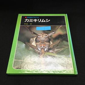 g-131 科学のアルバム カミキリムシ 1989年3月発行 あかね子書房※14