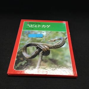 g-139 ヘビとトカゲ 科学のアルバム 1989年3月発行 あかね子書房 ※14