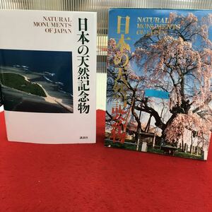 g-208日本の天然記念物 NATURALMONUMENTSOFJAPAN 株式会社講談社 1995年第1刷発行※14