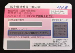 ANA 株主優待券 2023年5月23日迄有効 グループ優待券付